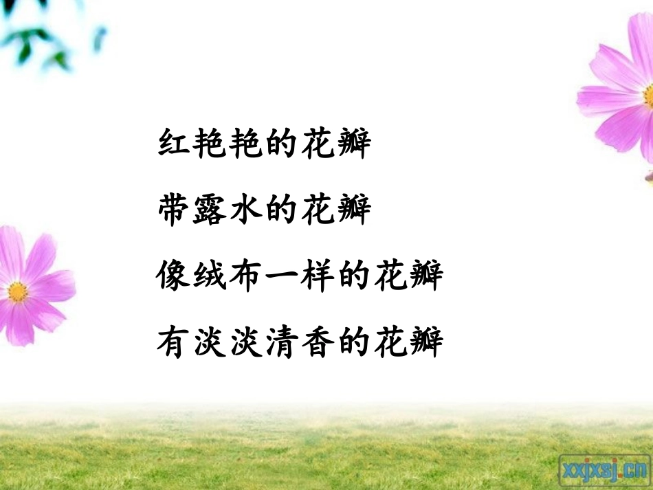 花瓣飘香第二课时_第2页