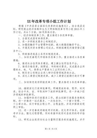 XX年改革专项小组工作计划