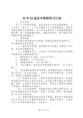 XX年XX县区中青班学习计划