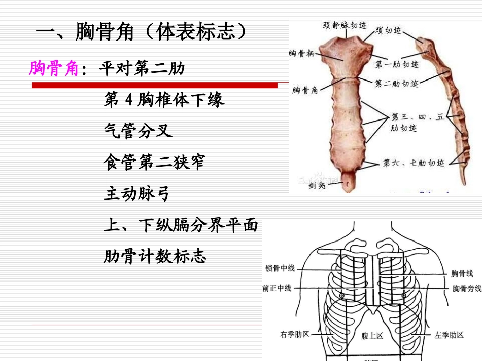 18导联心电图检查_第2页