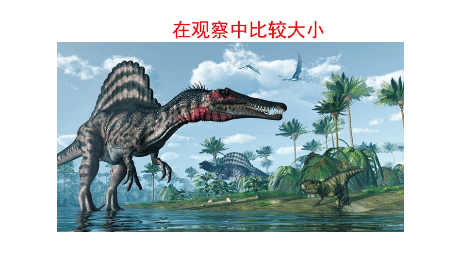 2017科教版一年级科学在观察中比较_第1页