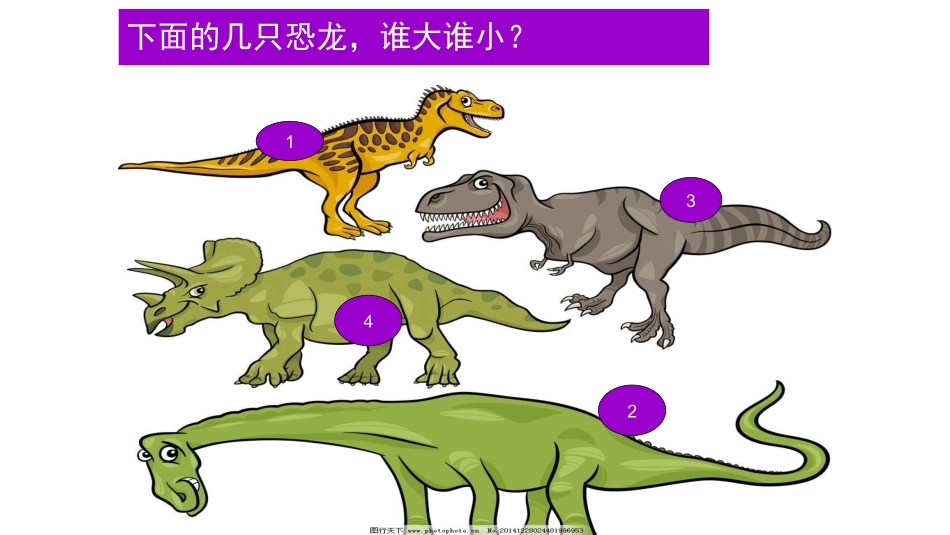 2017科教版一年级科学在观察中比较_第3页