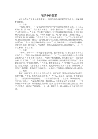 皱纹中的智慧