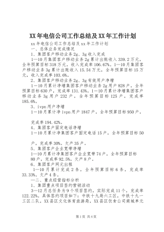 XX年电信公司工作总结及XX年工作计划
