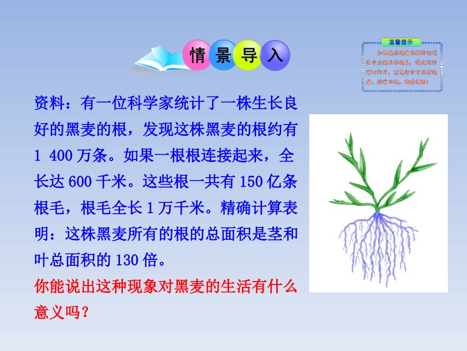 七年级生物上册_第三单元_第二章_第二节《植株的生长》课件_新人教版_第2页