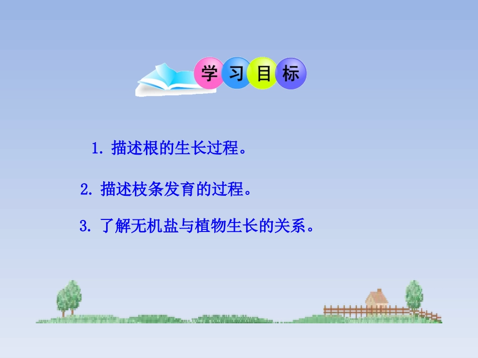 七年级生物上册_第三单元_第二章_第二节《植株的生长》课件_新人教版_第3页
