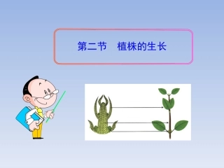 七年级生物上册_第三单元_第二章_第二节《植株的生长》课件_新人教版