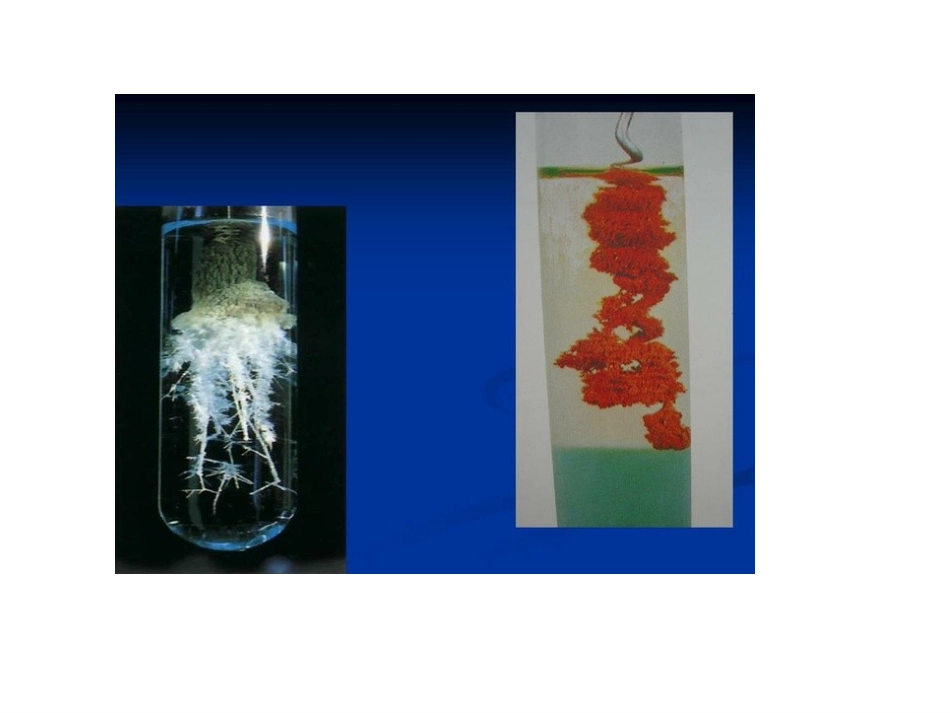 《质量守恒定律》公开课ppt课件_第2页