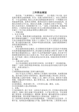 三年职业规划