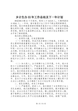 乡计生办XX年工作总结及下一年计划