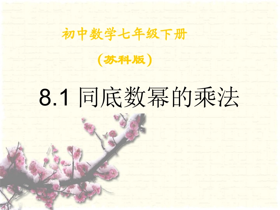 同底数幂的乘法 (3)_第1页