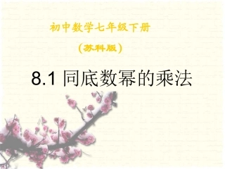 同底数幂的乘法 (3)