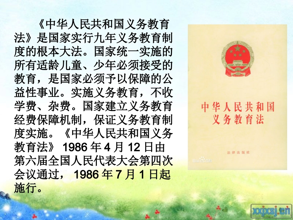 《义务教育法》主题班会_第3页