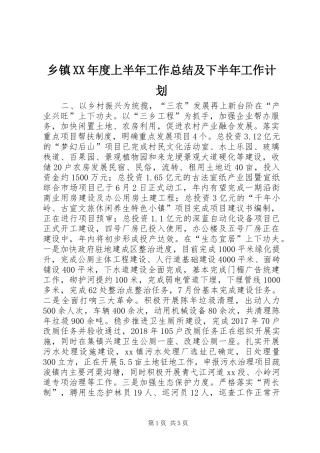 乡镇XX年度上半年工作总结及下半年工作计划