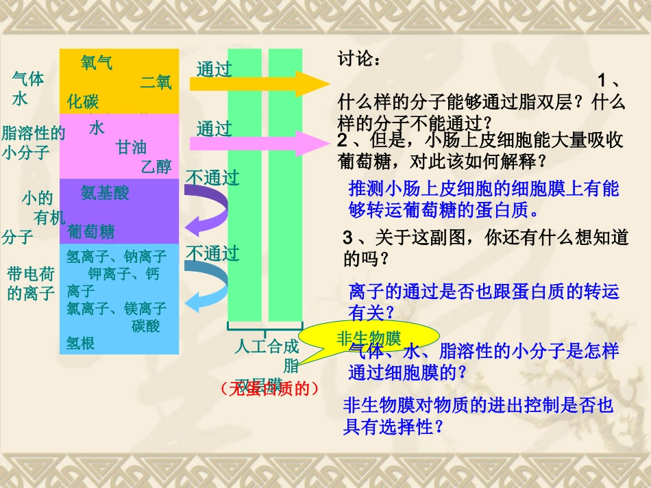 4.3物质跨膜运输的方式.讲ppt_第3页