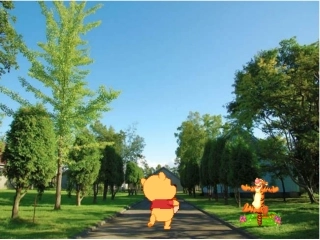 《观察一棵植物》一年级科学