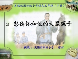 彭德怀和他的大黑骡子（新）