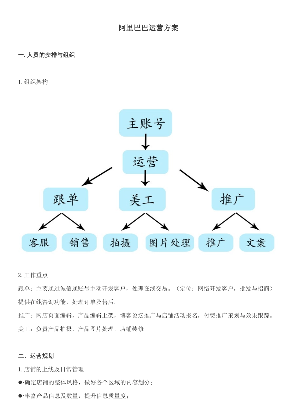 阿里运营方案_第1页