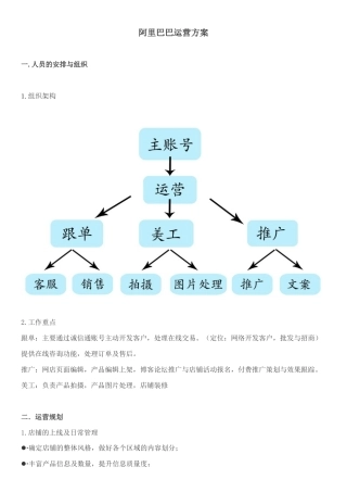阿里运营方案