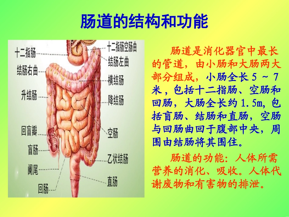 3、肠道疾病的防治_第2页