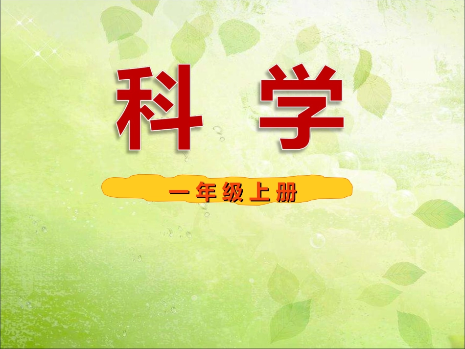 3.我们来观察_第1页