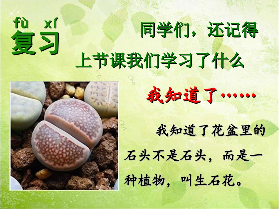 3.我们来观察_第2页