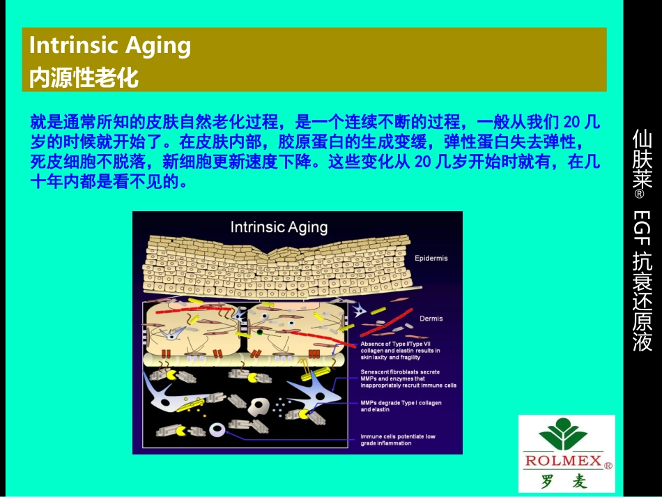 EGF抗衰还原液 (1)_第2页
