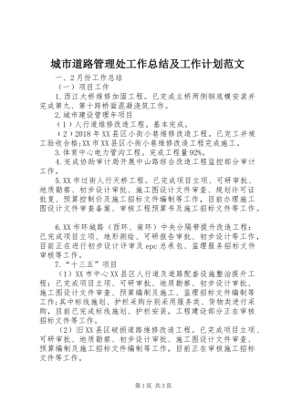 城市道路管理处工作总结及工作计划范文