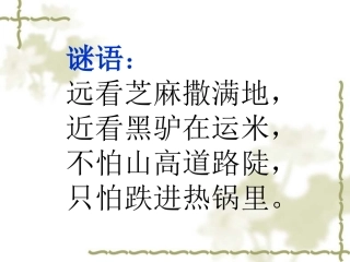 三年级科学上册_观察蚂蚁课件_教科版