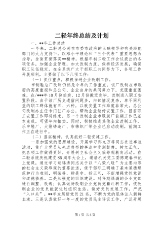 二轻年终总结及计划