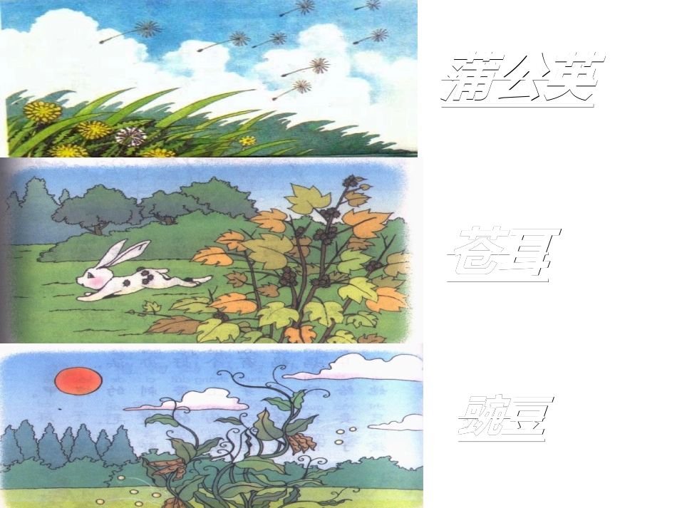 3植物妈妈有办法ppt   公开课_第3页