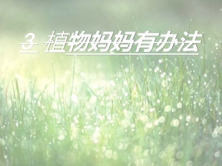 3植物妈妈有办法ppt   公开课