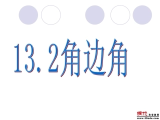 13.2.4-角边角或角角边新华师版(2014华师大八年级上)