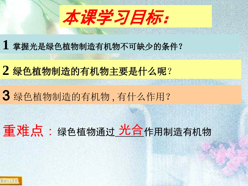 3.4《绿色植物是生物圈中有机物的制造者》课件_第2页