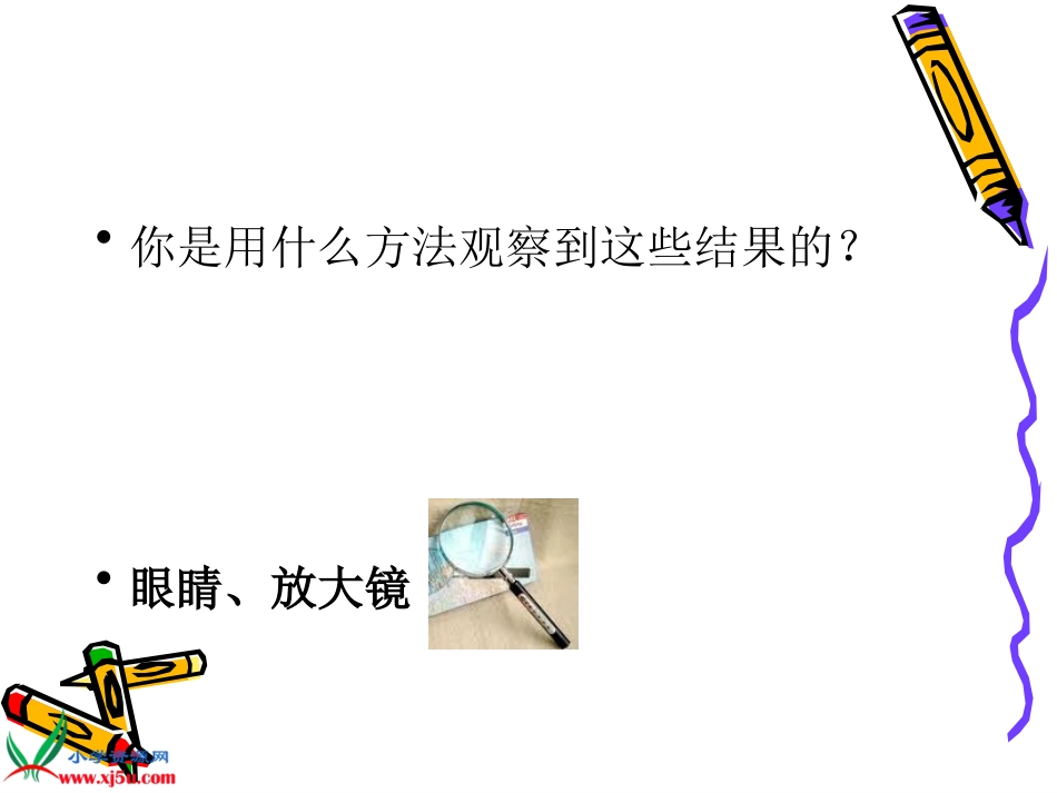 水滴里的生物_第3页