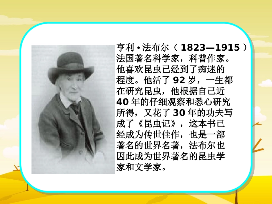 《装满昆虫的衣袋》_第3页