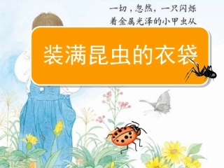 《装满昆虫的衣袋》