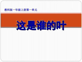 一年级上册科学一单元第四课《植物的叶》PPT课件