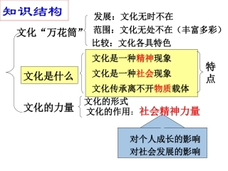 文化生活第一课知识结构