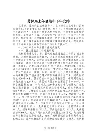 劳保局上年总结和下年安排