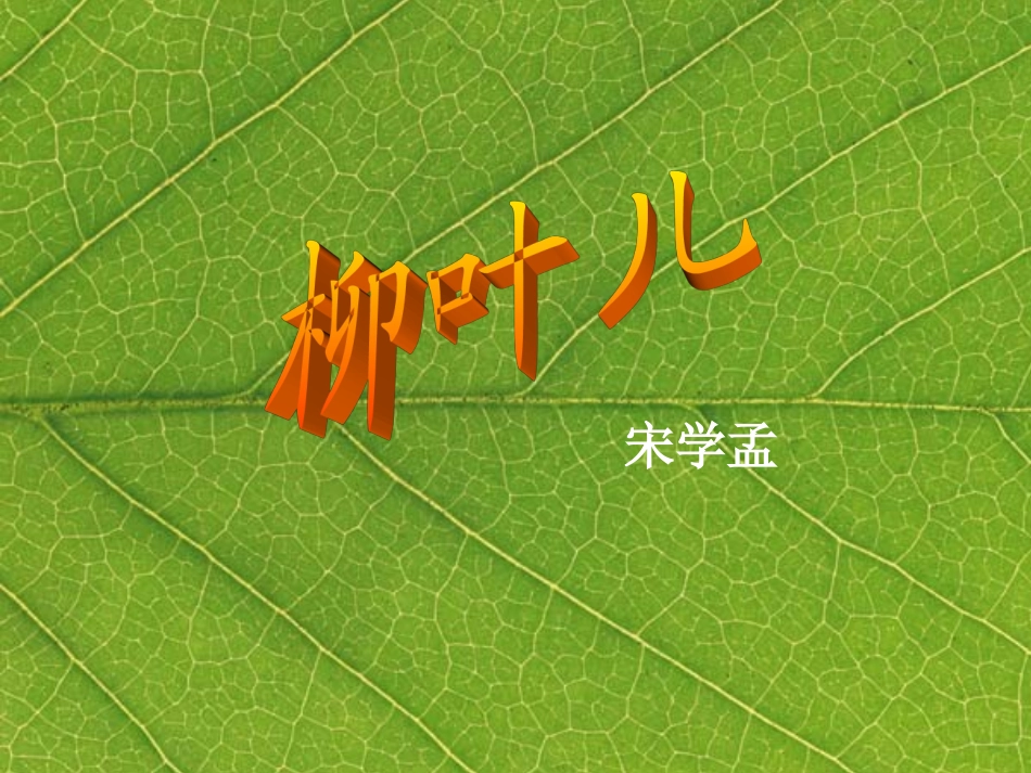 柳叶儿 (2)_第3页