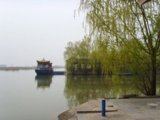 柳叶儿 (2)