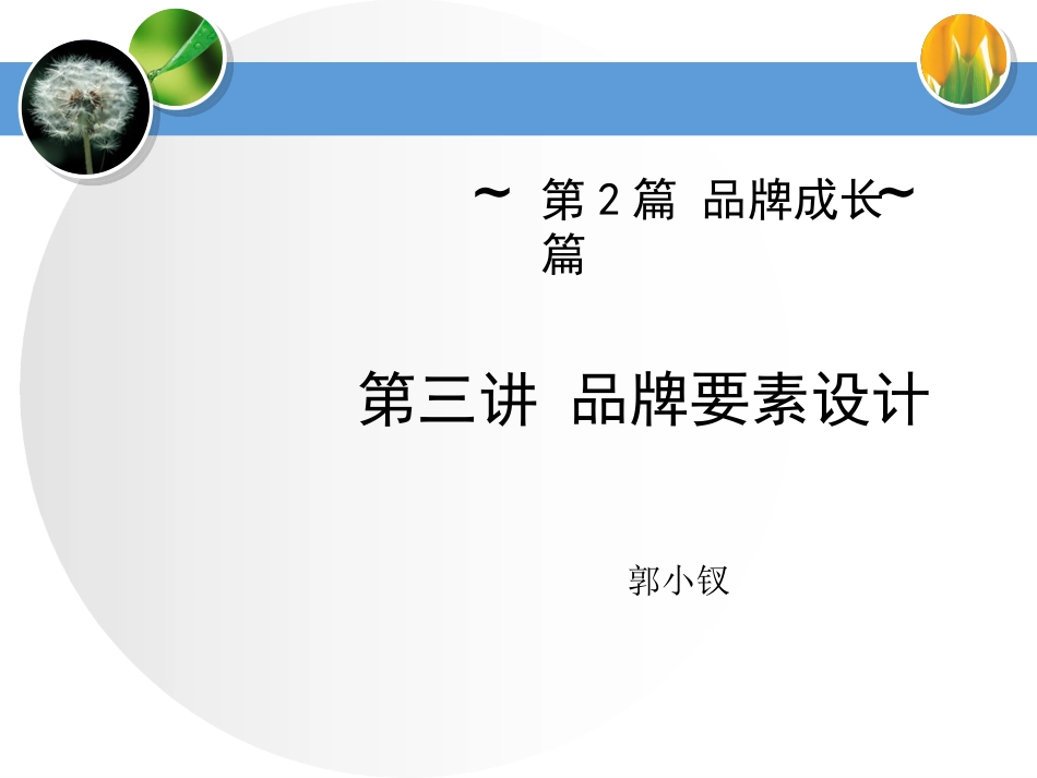 《品牌管理》第三四讲 品牌要素的设计、品牌传播_第1页