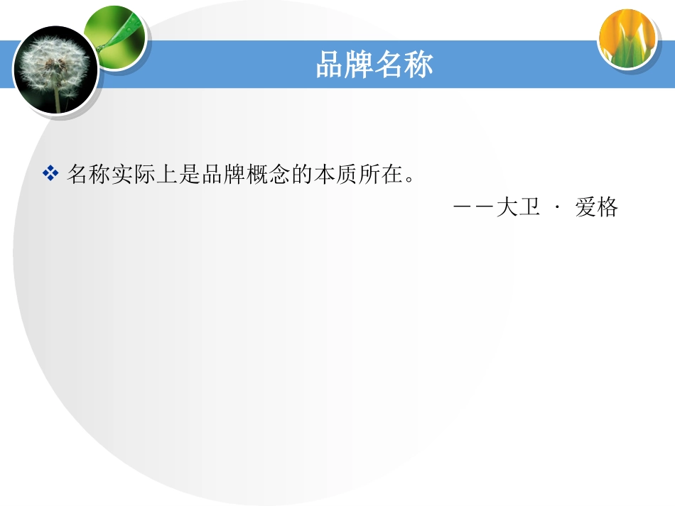 《品牌管理》第三四讲 品牌要素的设计、品牌传播_第2页