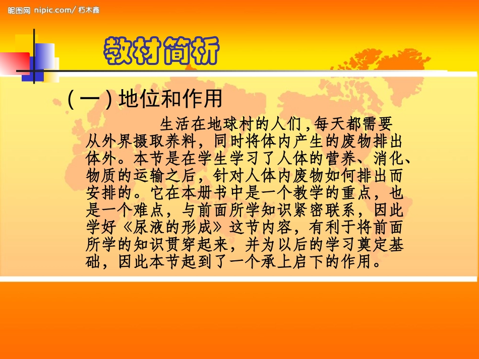 七年级生物尿的形成2_第2页