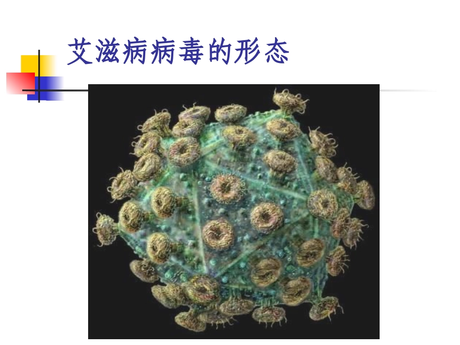 HIV检测技术课件_第3页