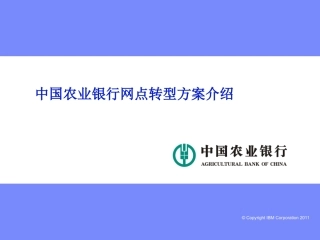 农业银行网点转型方案(经典)