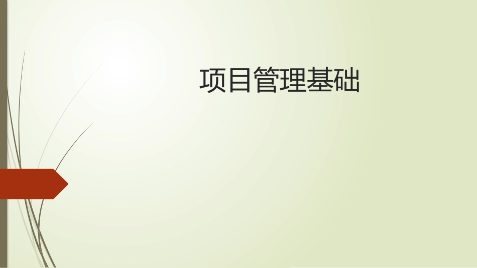 项目管理基础_第1页