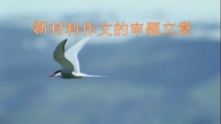 2018届高三材料作文审题立意