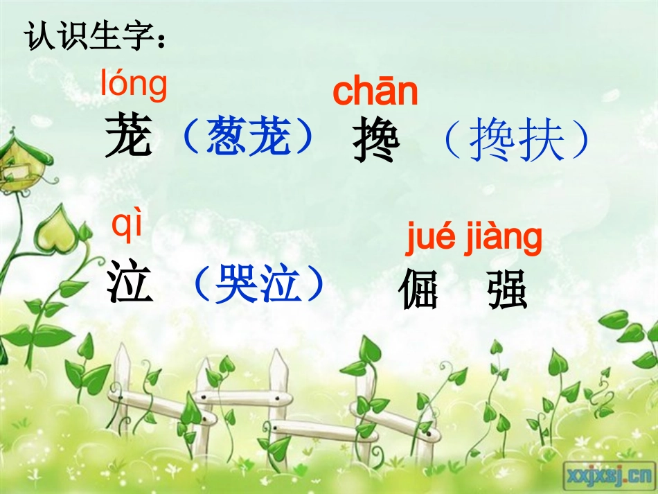 苏教版第十册语文《二泉映月》课件_第2页